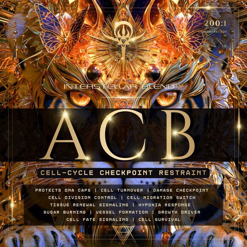 ACB (Cell-Cycle Checkpoint Restraint)
