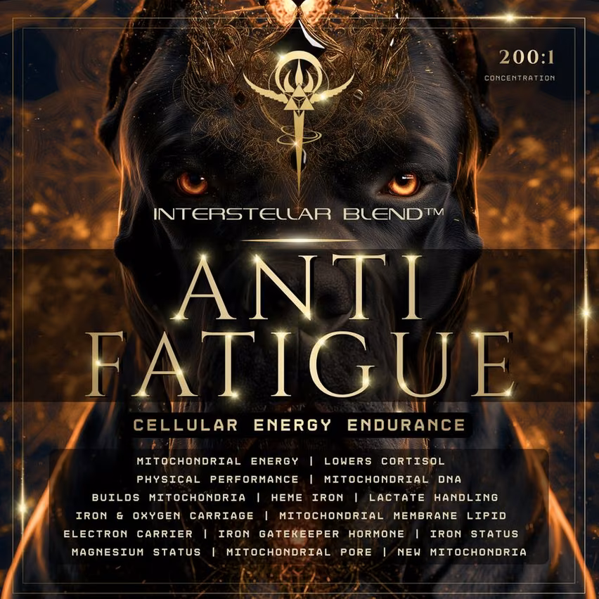 Anti-Fatigue (Cellular Energy Endurance)