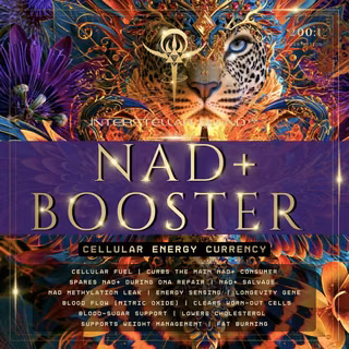 NAD+ Booster (Cellular Energy Currency)