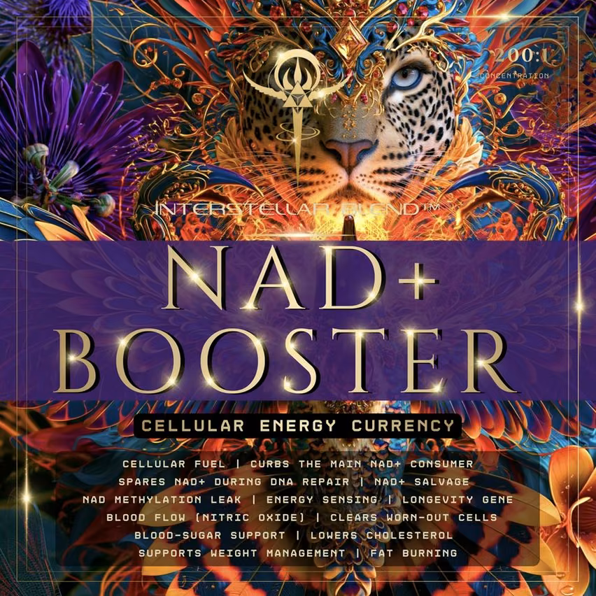 NAD+ Booster (Cellular Energy Currency)
