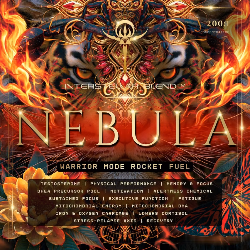 Nebula (Warrior Mode Rocket Fuel)
