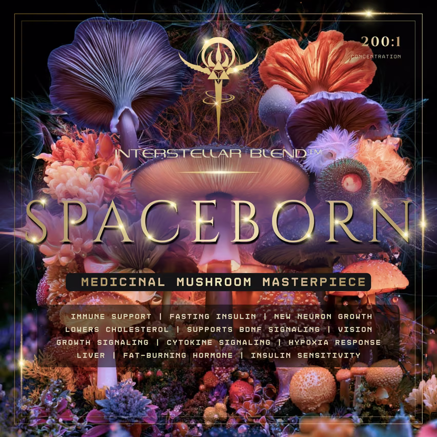 Spaceborn (Medicinal Mushroom Masterpiece)