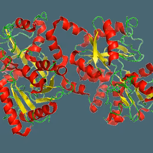 Apolactoferrin