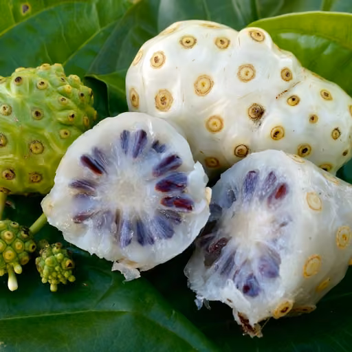 Noni (Morinda citrifolia)