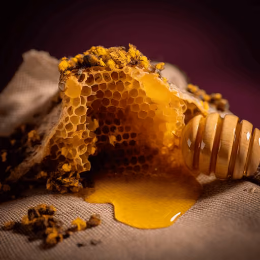 Propolis (Apis mellifera)