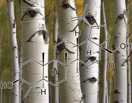 Betulinic acid by Interstellar Blends