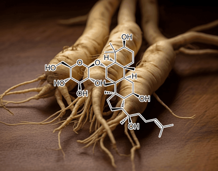 Ginsenoside Rc – Potent adaptogenic ginseng compounds in Interstellar Blends, supporting energy, brain function, and stress resilience.