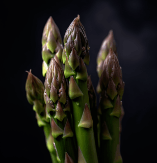 Asparagus Officinalis - Interstellar Blends