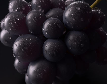 Black grape skin (Vitis vinifera) – Antioxidant-rich in Interstellar Blends, promoting heart health and reducing oxidative stress.