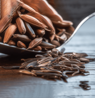 Carum carvi Linn (Caraway) – Digestive-friendly spice in Interstellar Blends, reducing bloating, gas, and indigestion.