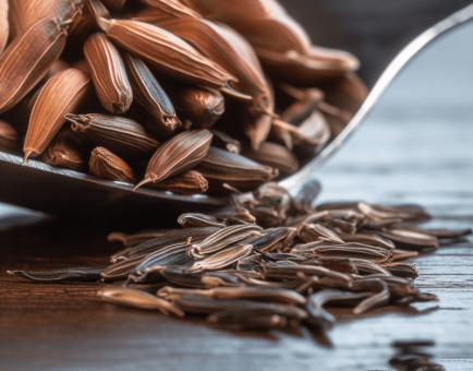 Carum carvi Linn (Caraway) – Digestive-friendly spice in Interstellar Blends, reducing bloating, gas, and indigestion.