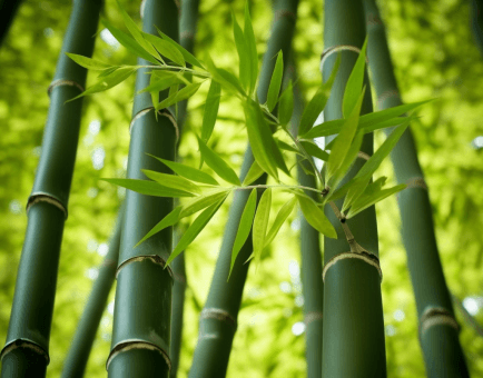 Caulis bamfusae - Interstellar Blends