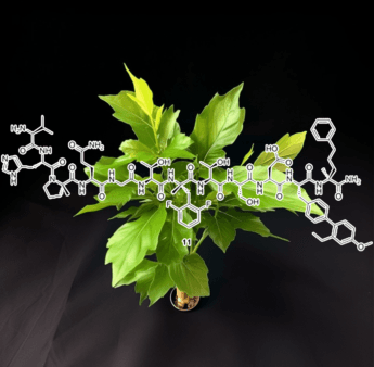 Exendin-4 - Interstellar Blends