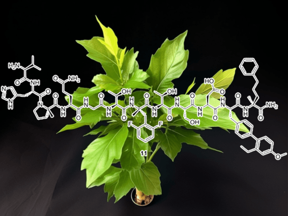 Exendin-4 - Interstellar Blends