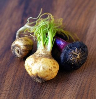 Maca root - Interstellar Blends