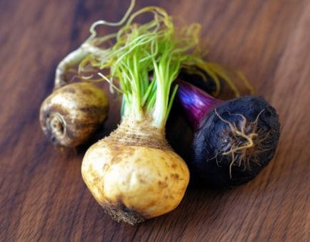 Maca root - Interstellar Blends