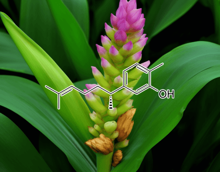 Xanthorrhizol compound illustration, a bioactive compound derived from Curcuma xanthorrhiza featured in Interstellar Blends' herbal formulas, known for its antimicrobial, anti-inflammatory, and anticancer properties
