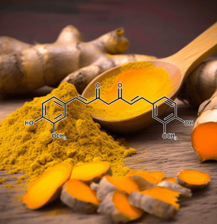 Curcumin – A detailed image of Curcumin extract, the powerful anti-inflammatory compound in Interstellar Blends.