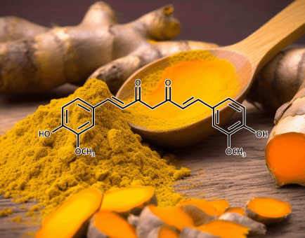 Curcumin – A detailed image of Curcumin extract, the powerful anti-inflammatory compound in Interstellar Blends.