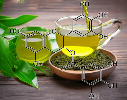 Epigallocatechin gallate (EGCG) – A close-up of EGCG from green tea, featured in Interstellar Blends for its potent antioxidant benefits.
