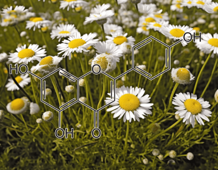 Apigenin – Bioactive flavonoid in Interstellar Blends, supporting cellular health, reducing stress, and promoting relaxation.