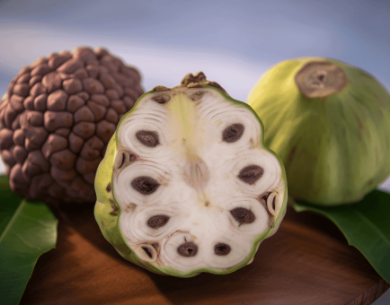 Cherimoya (Annona cherimola) – The ‘Custard Apple’ of the Gods. A lush, green fruit with velvety soft flesh, revered for its rich antioxidants and adaptogenic properties. Perfect for Interstellar Blends’ herbal formulations, enhancing vitality and cosmic well-being.