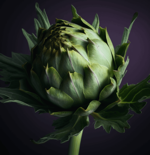 Artichoke Leaf - Interstellar Blends