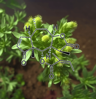 BREVILIN A plant - Interstellar Blends