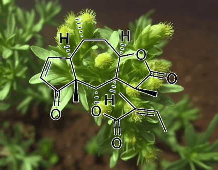 BREVILIN A plant - Interstellar Blends