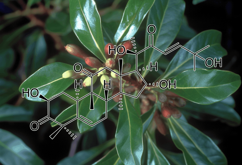 CUCURBITACIN D plant source - Interstellar Blends