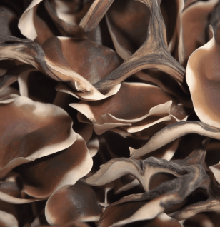 Deer Velvet Antler - Interstellar Blends