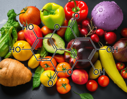 ELLAGIC ACID source - Interstellar Blends
