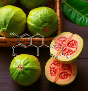 GLYCITEIN Psidium guajava - Interstellar Blends