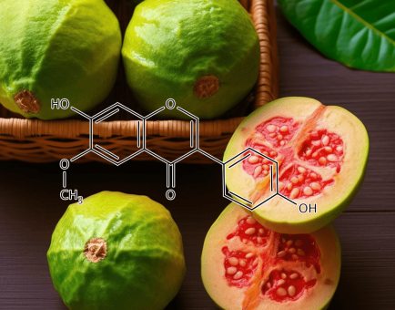 GLYCITEIN Psidium guajava - Interstellar Blends