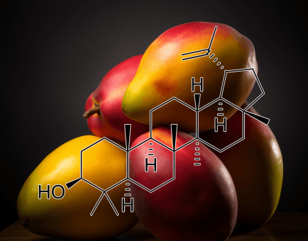 Lupeol – A high-resolution photo of Lupeol, a triterpenoid in Interstellar Blends known for its anti-inflammatory and anticancer potential.