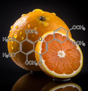 Nobiletin (Citrus nobilis Lour) – Citrus flavonoid in Interstellar Blends, supporting brain function, metabolism, and cellular protection.