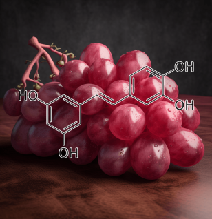 PICEATANNOL Plant Source - Interstellar Blends
