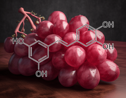 PICEATANNOL Plant Source - Interstellar Blends