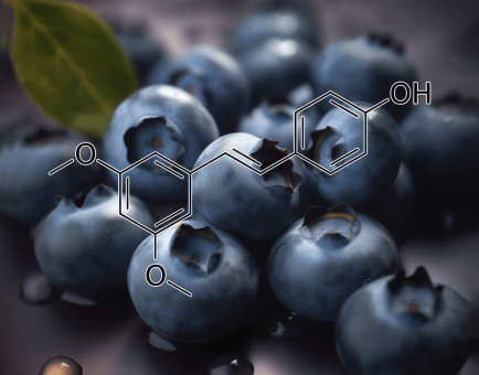Pterostilbene from Blueberries – Longevity-promoting polyphenol in Interstellar Blends, supporting cognitive function and metabolic health.