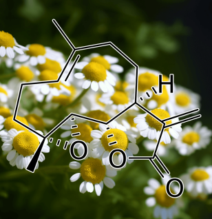 Parthenolide Feverfew - Interstellar Blends