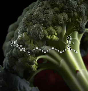 SULFORAPHANE Source Plant - Interstellar Blends