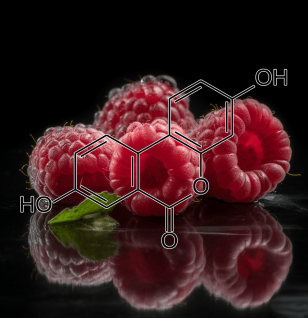 UROLITHIN A source raspberries - Interstellar Blends
