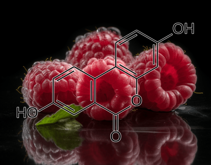 UROLITHIN A source raspberries - Interstellar Blends