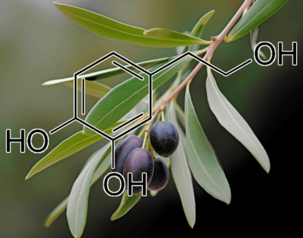 Hydroxytyrosol – A high-resolution image of Hydroxytyrosol, a polyphenol in Interstellar Blends for its powerful antioxidant benefits.