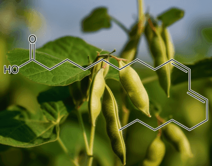 Conjugated linoleic acid - Interstellar Blends