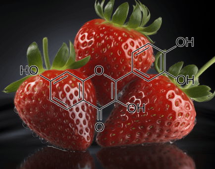 Fisetin – Longevity-promoting flavonoid in Interstellar Blends, reducing oxidative stress, enhancing brain function, and promoting anti-aging benefits.