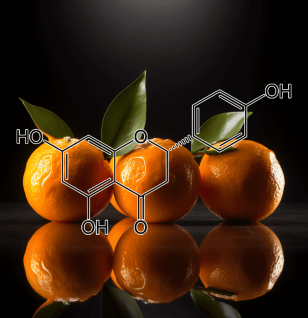 Naringenin – Citrus bioflavonoid in Interstellar Blends, enhancing fat metabolism, brain function, and cardiovascular health.