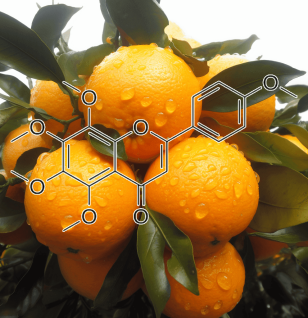 TANGERETIN Source Plant - Interstellar Blends