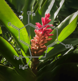 ZERUMB - Interstellar Blends