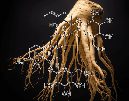 Ginsenoside – Potent adaptogenic ginseng compounds in Interstellar Blends, supporting energy, brain function, and stress resilience.